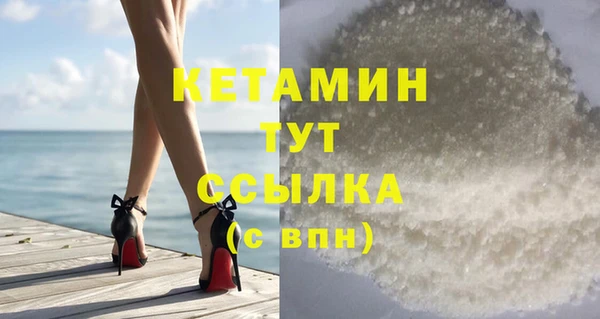 шишки Верея
