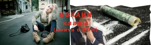 2c-b Бородино