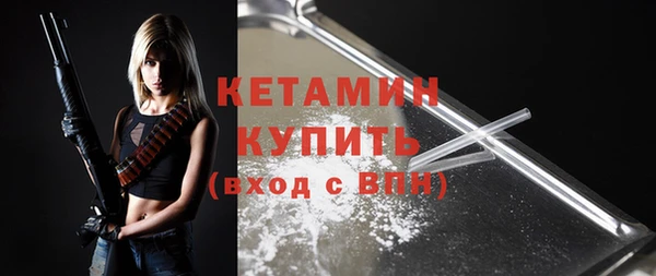 шишки Верея