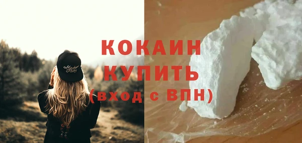 2c-b Бородино