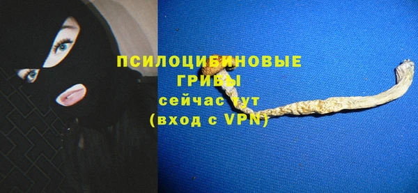 mdpv Бугульма
