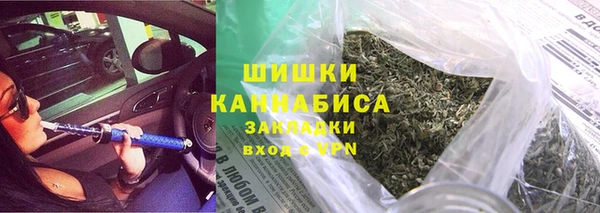 шишки Верея