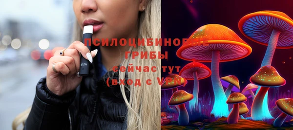 стаф Бронницы