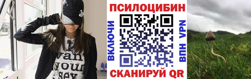 Галлюциногенные грибы Psilocybine cubensis  Касимов 